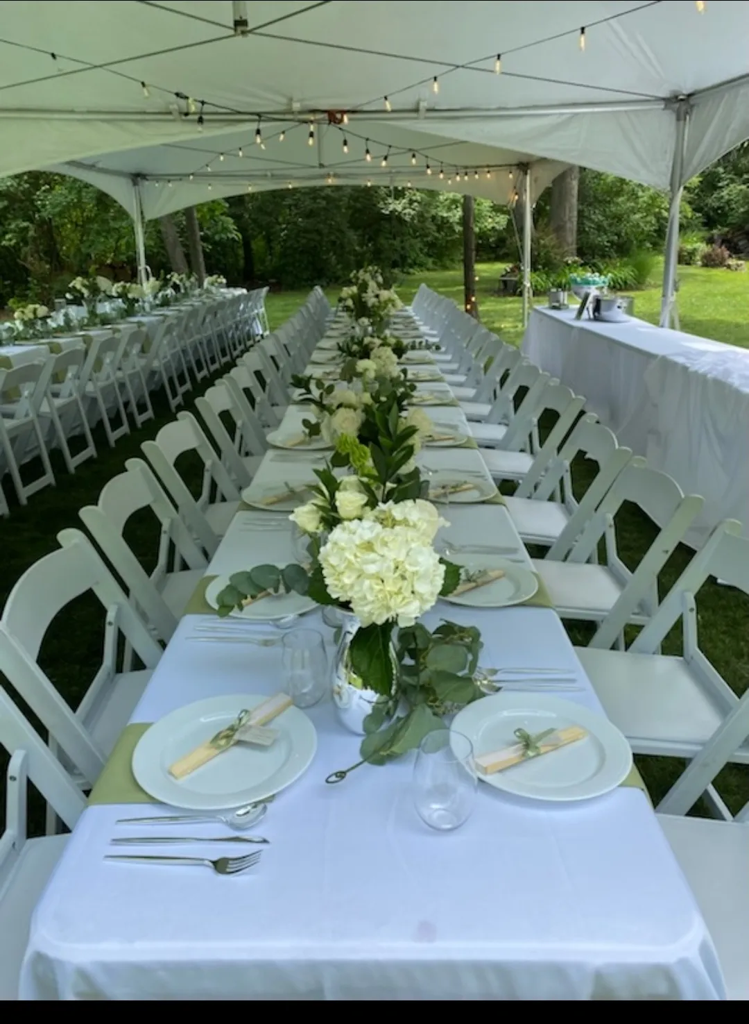 Fiesta Party Rental tent